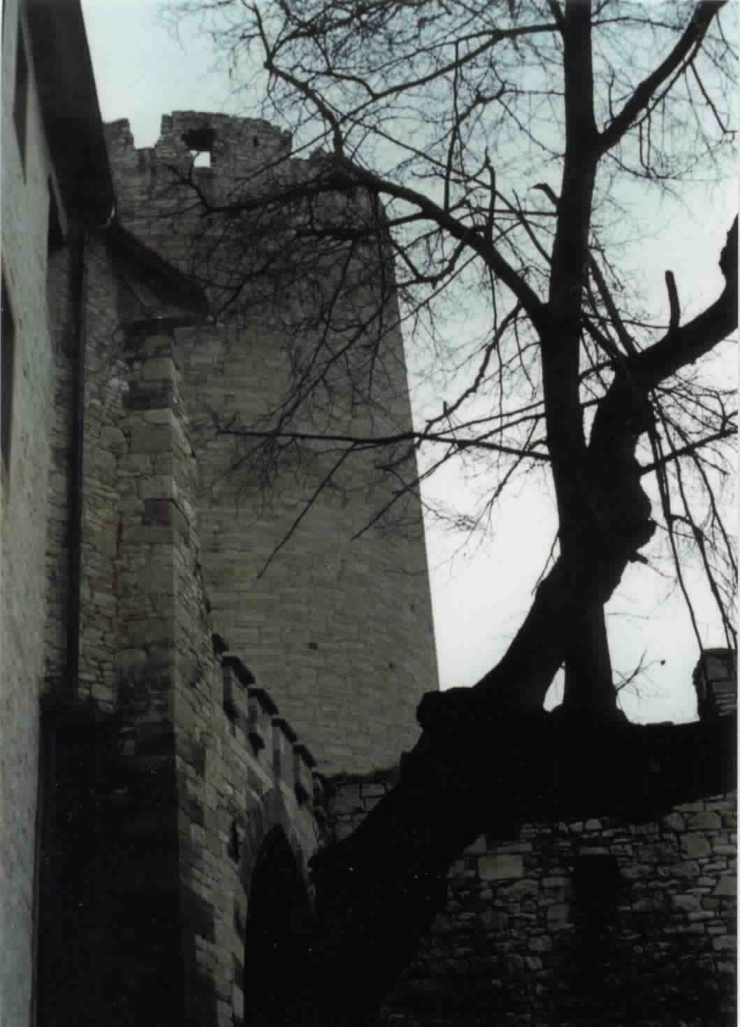 Dicker Heinrich